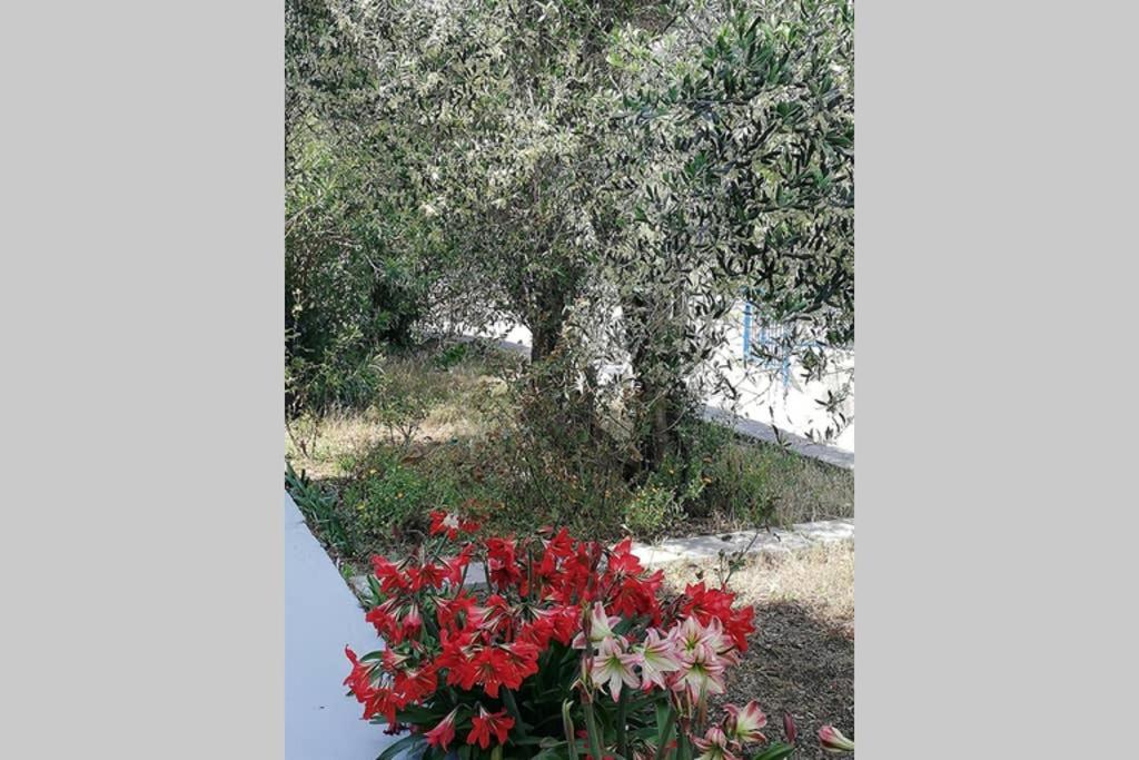 Ribaric Villa Banjol Exterior foto